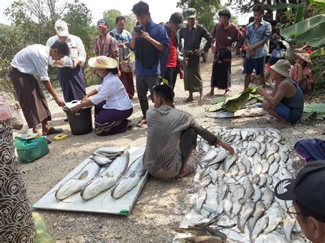 ငါးပူတင်းကုန်းပေါ်တွင် သေဆုံးမှုသတိပေးချက်